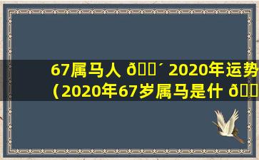 67属马人 🌴 2020年运势（2020年67岁属马是什 🌲 么命运）